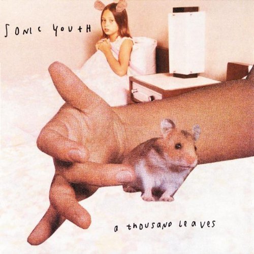 A Thousand Leaves By Sonic Youth