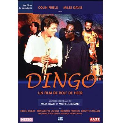 Dingo