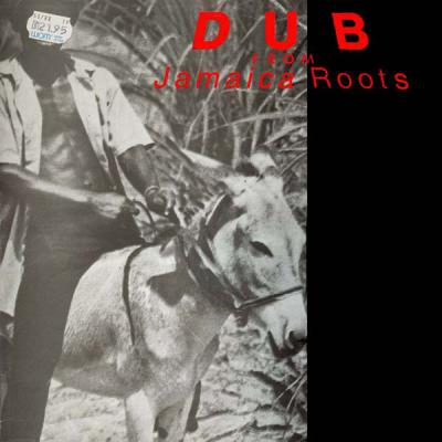 Dub From Jamaican Roots