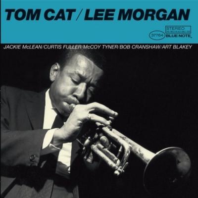 Tom Cat