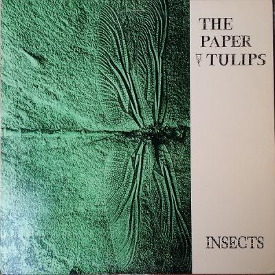 Insect