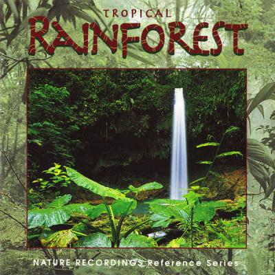 Tropical Rainforest