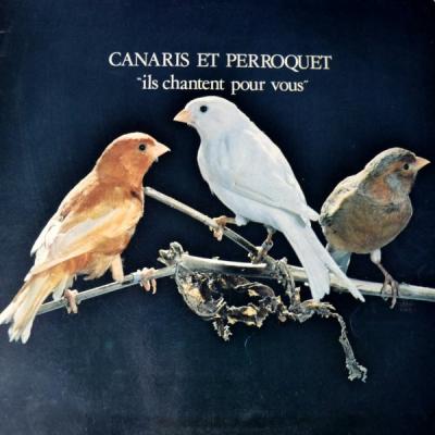 Canaris Et Perroquet Ils Chantent Pour Vous