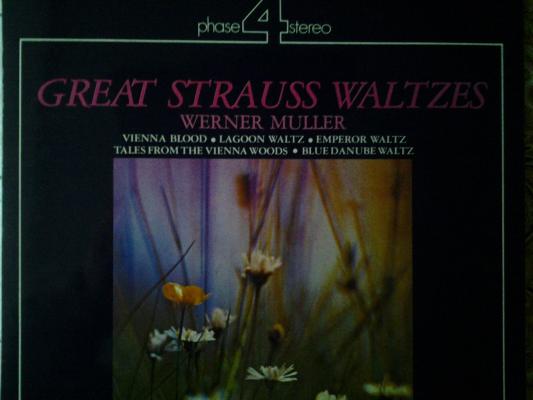 Great Strauss Waltzes