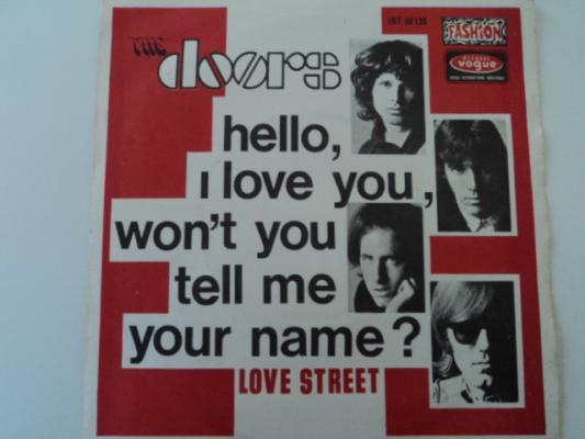 Hello, I Love You, Won't You Tell Me Your Name ?