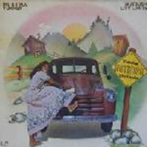 Ike & Tina Turner - Nutbush City Limits -