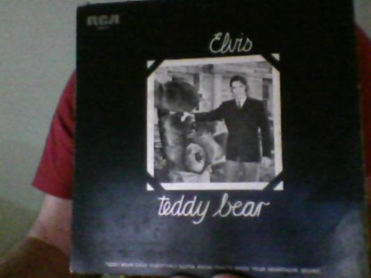 Teddy Bear