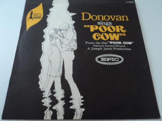 Poor Cow