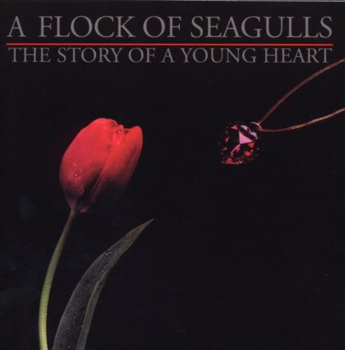 Story Of A Young Heart