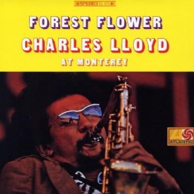Flower Forest - At Monterey