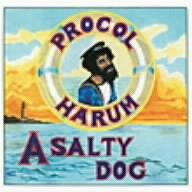 Salty Dog