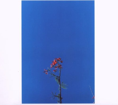 & The Ys Street Band Ep