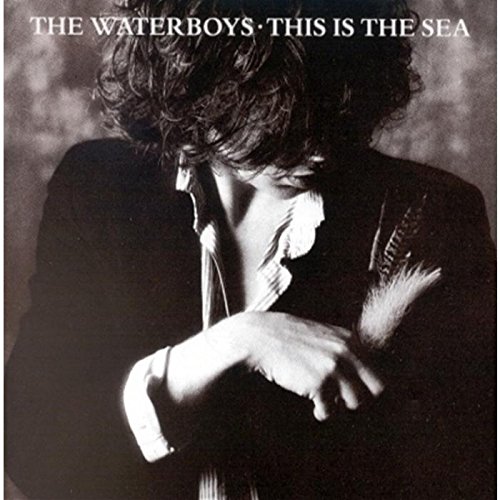 This Is The Sea