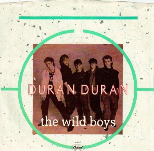 The Wild Boys, The / (i'm Looking For) Cracks In The Pavement