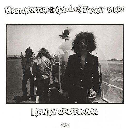 Kapt Kopter & The  Twirlybirds