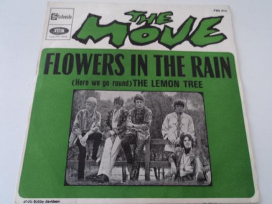 Flowers In The Rain