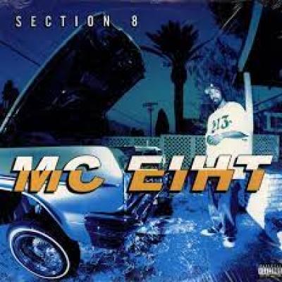 Section 8