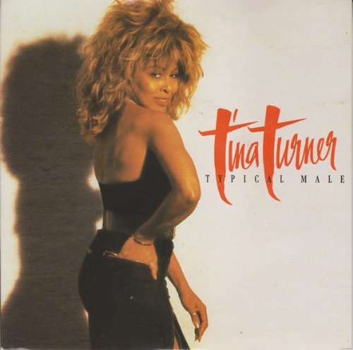Tina Turner Typical Male Uk 7 45