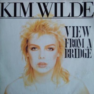View From A Bridge