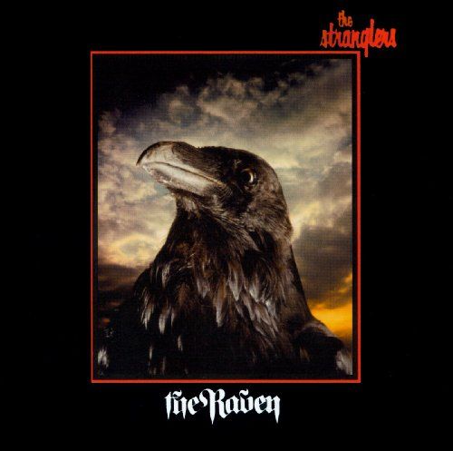 Raven