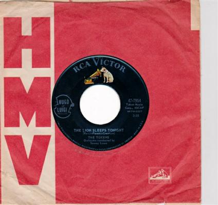 The Lion Sleep Tonight /tina