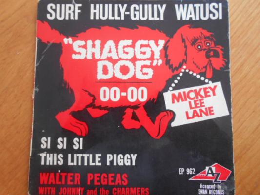 Shaggy Dog