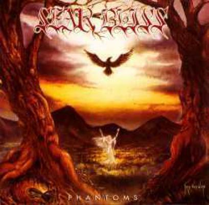 Phantoms