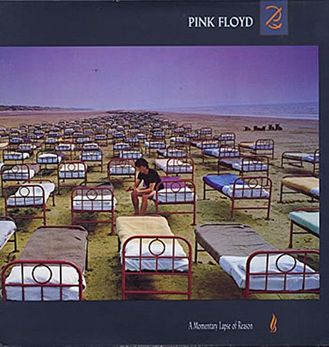 A Momentary Lapse Of Reason