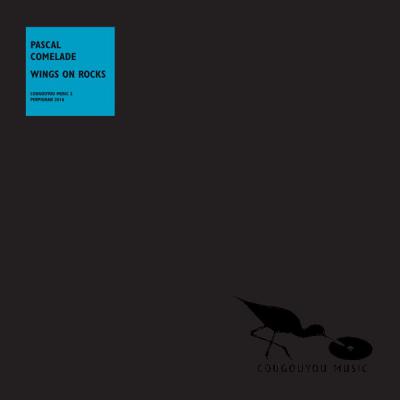 Wings On Rocks