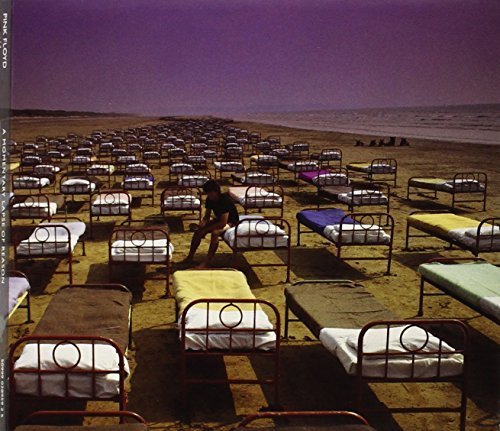A Momentary Lapse Of Reason By Pink Floyd