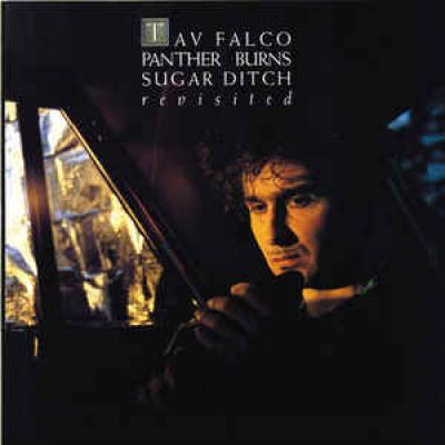 Sugar Ditch Revisited/shake Rag