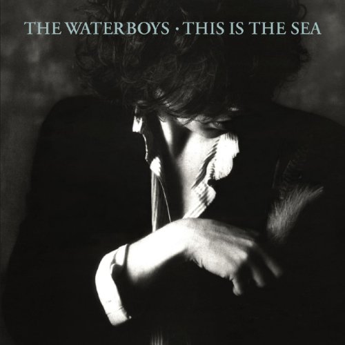 This Is The Sea