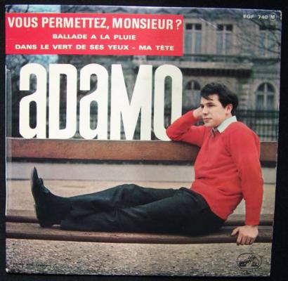 Vous Permettez, Monsieur?