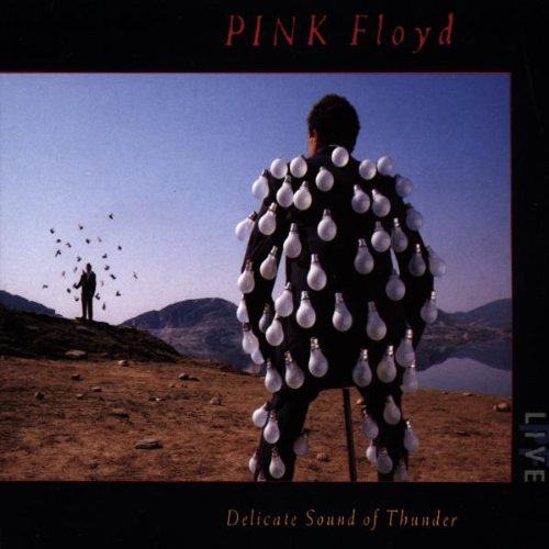 Delicate Sound Of Thunder : Live