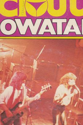 Oowatanite