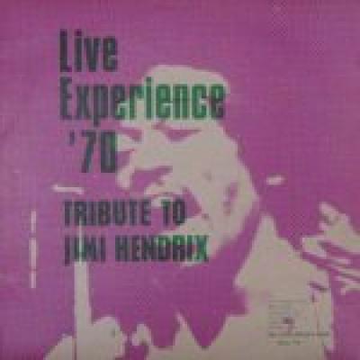 Tribute To Jimi Hendrix