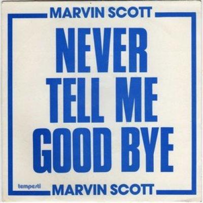 Never Tell Me Good Bye/mamy Blue ( Reaggae)