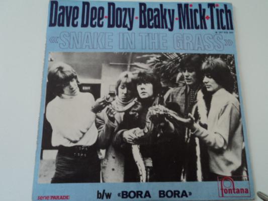 Snake In The Grass