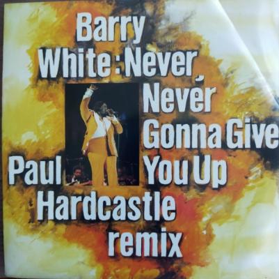Never Never Gonna Give You Up - **
