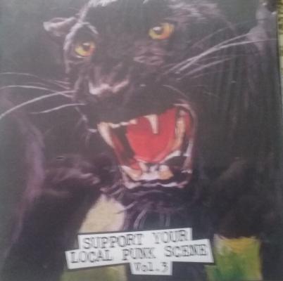 Support Your Local Punk Scene Vol.3