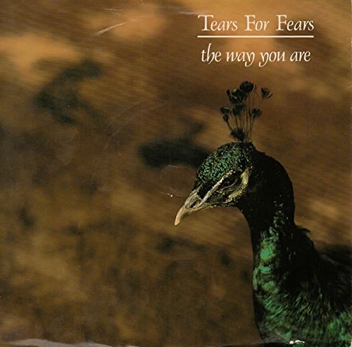 The Way You Are - Tears For Fears 7 45