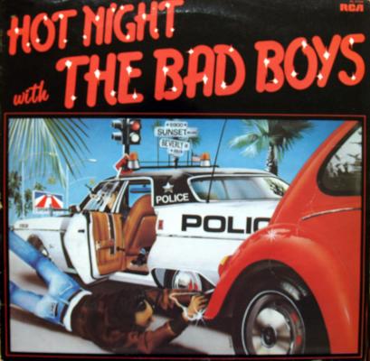 Hot Night With The Bad Boys