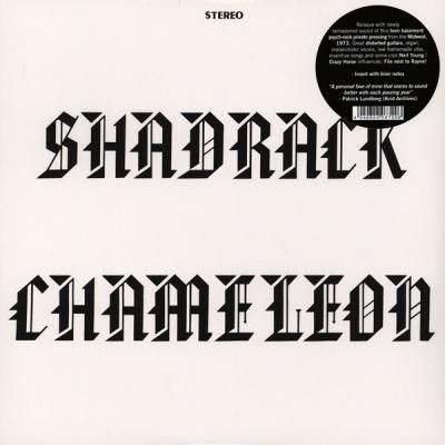 Shadrack Chameleon