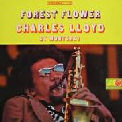 Forest Flower