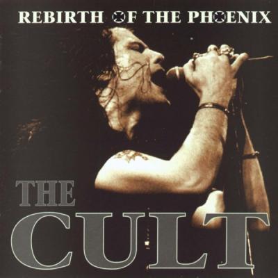 Rebirth Of The Phoenix