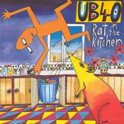 Rat In The Kitchen