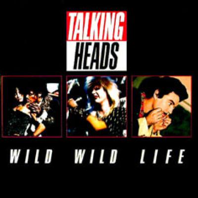 Wild Wild Life