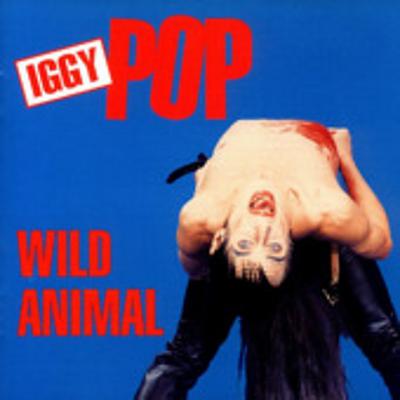 Wild Animal