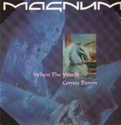 When The World Comes Down