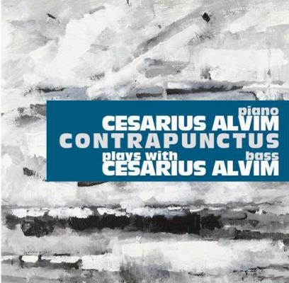 Contrapunctus